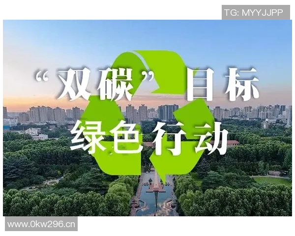 中国政府发布新政策推动绿色经济发展 助力实现碳中和目标